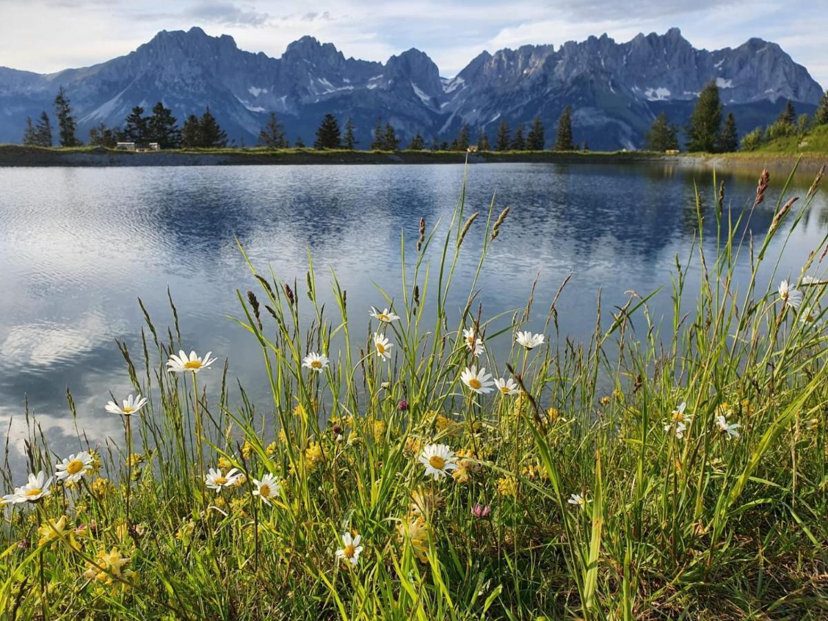 Haus Strobler Leilighet Going am Wilden Kaiser Eksteriør bilde