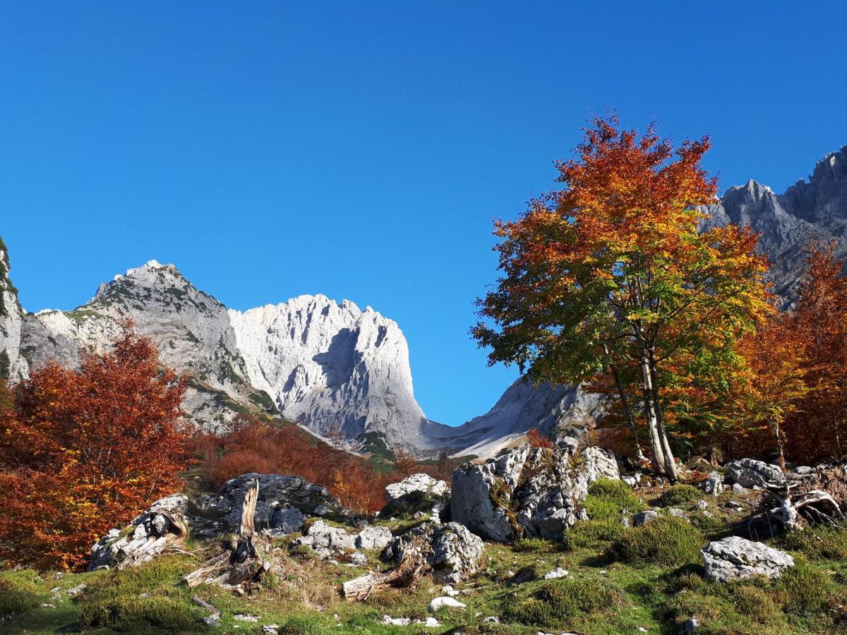 Haus Strobler Leilighet Going am Wilden Kaiser Eksteriør bilde