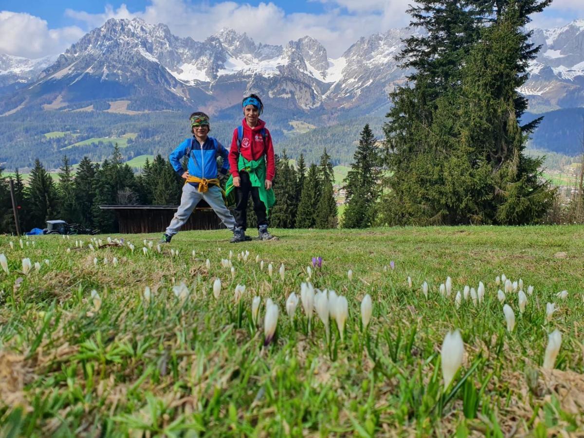 Haus Strobler Leilighet Going am Wilden Kaiser Eksteriør bilde