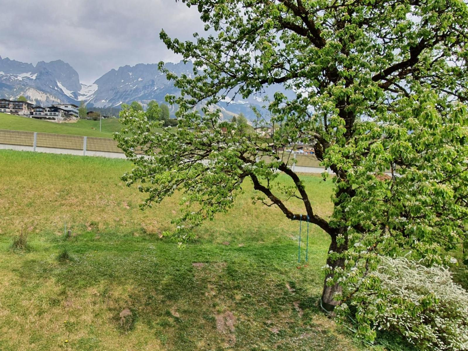 Haus Strobler Leilighet Going am Wilden Kaiser Rom bilde